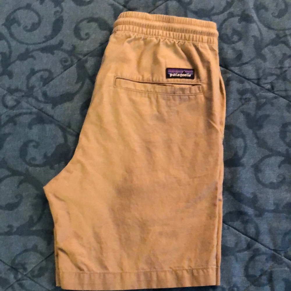 Patagonia hemp volley shorts